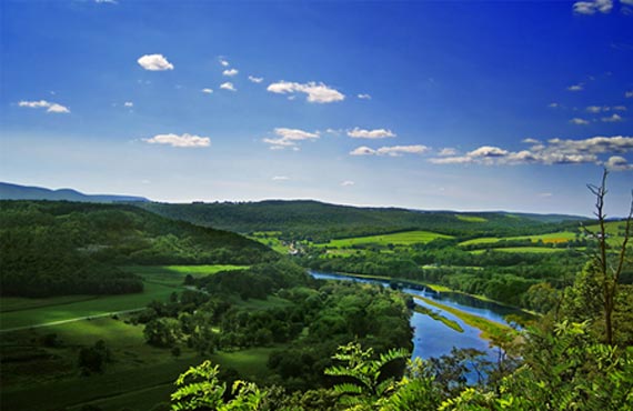 blog-image